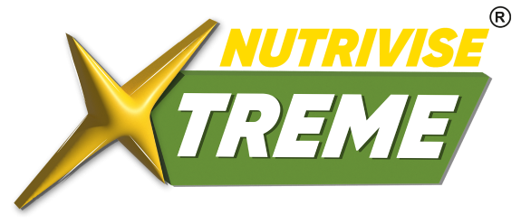 Semis Foods Private Limited